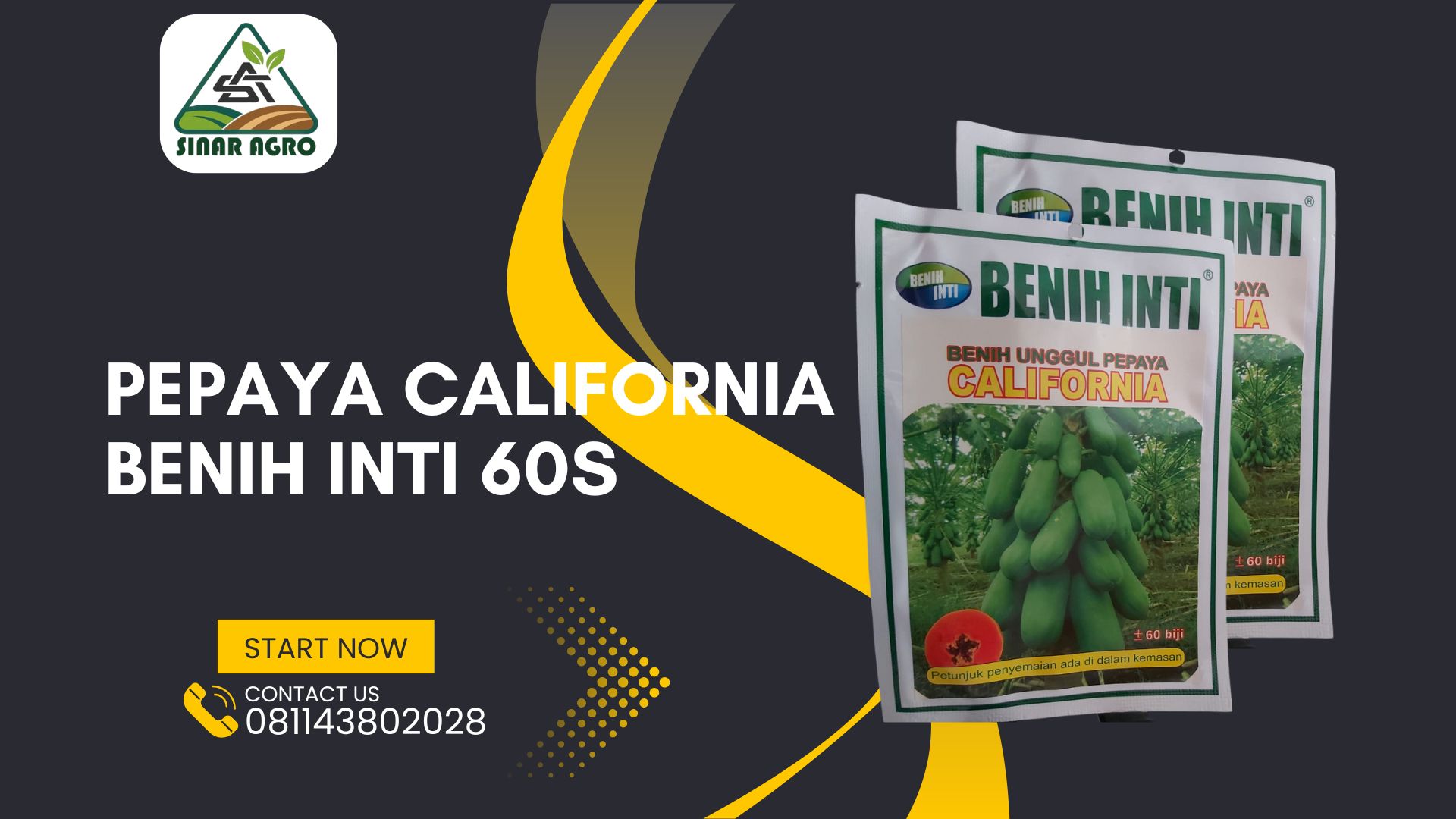 Pepaya California Benih Inti 60s