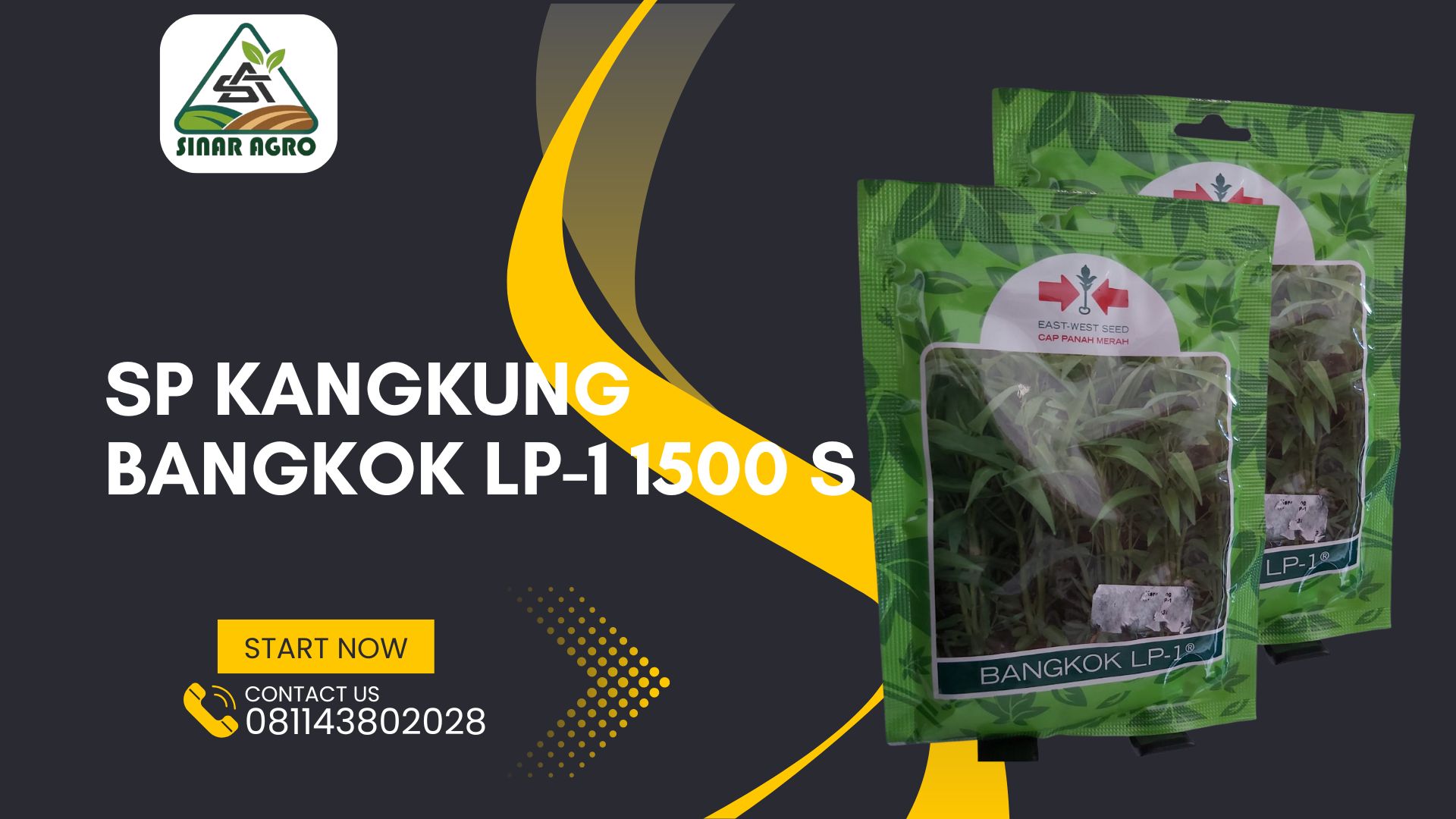 SP Kangkung Bangkok LP-1 1500 s PM
